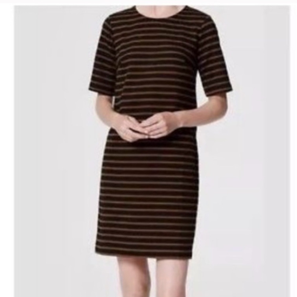 Ann Taylor Loft Black and Brown Striped Shift Dress